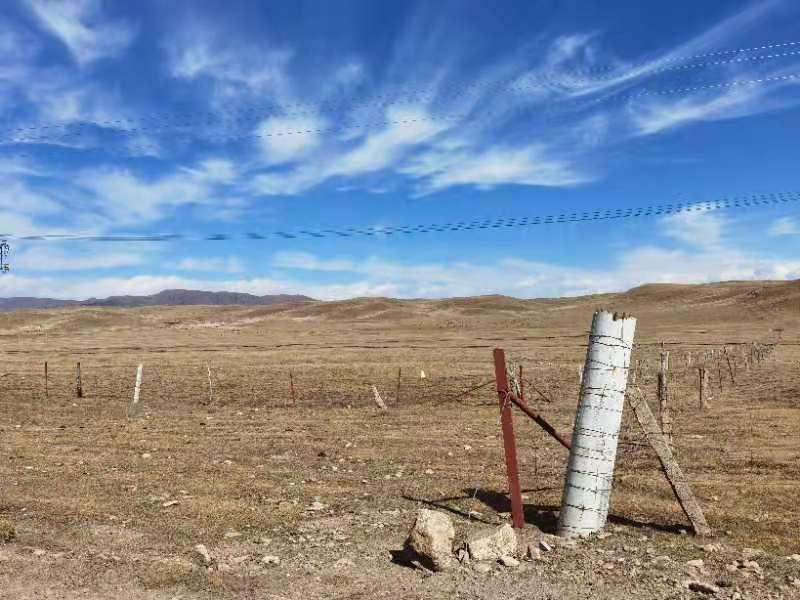 皇家国际·(中国区)有限公司官网