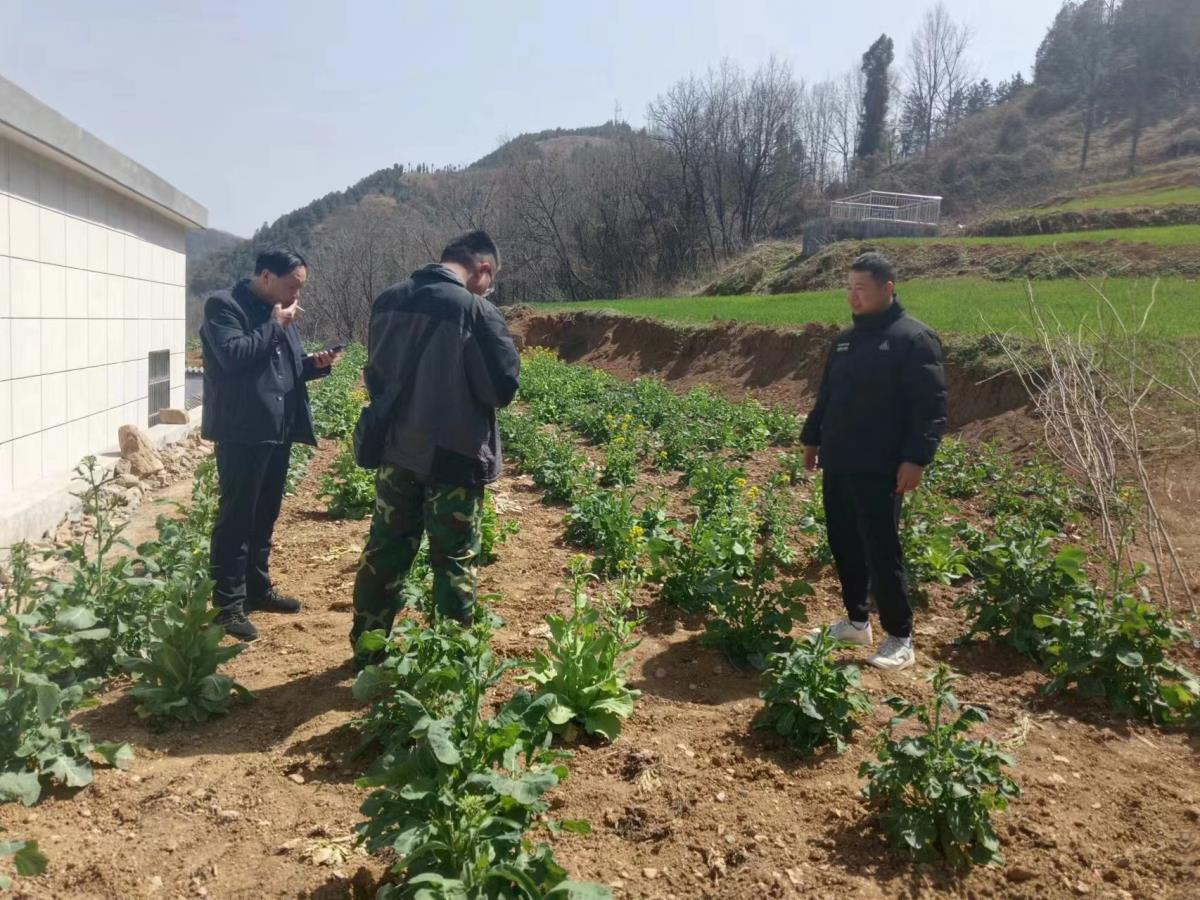 皇家国际·(中国区)有限公司官网