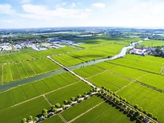 皇家国际·(中国区)有限公司官网